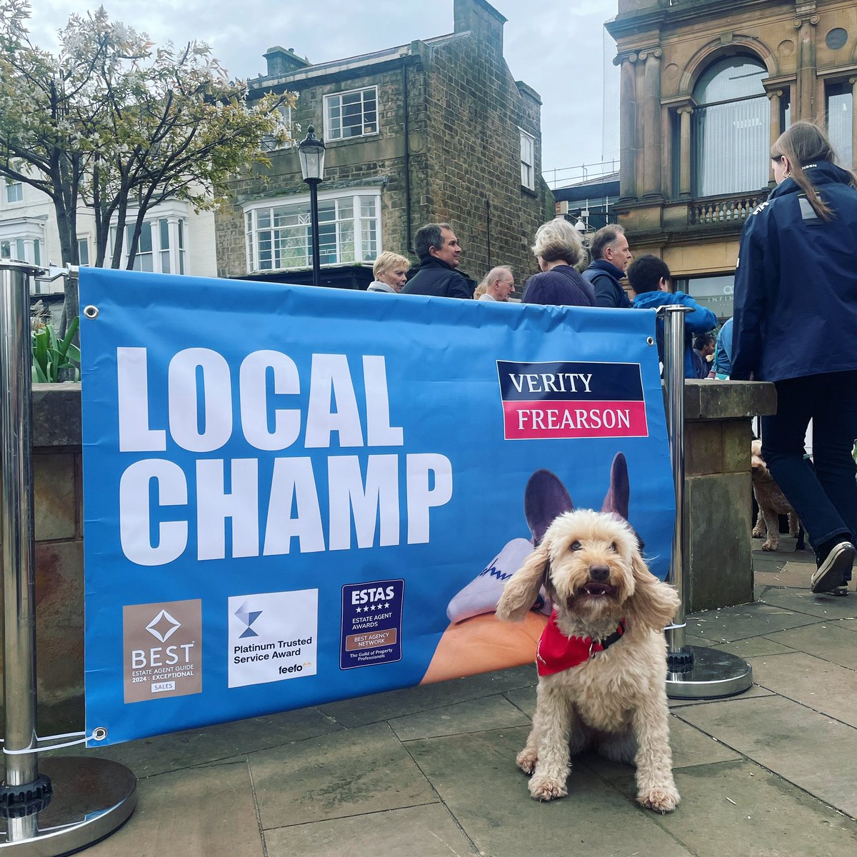 🐶Lots going on at the Harrogate BID Dog Show this afternoon! Cheeky Honey is clearly auditioning to be our next cover star! 🐾
-
-
#harrogate #estateagent #theharrogateagent #dogshow #dogs #localchamp #weloveharrogate @BidHarrogate