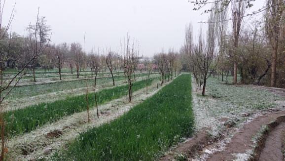 Booni Chitral ❤️

#Snowfall
#PeerPressure 😅