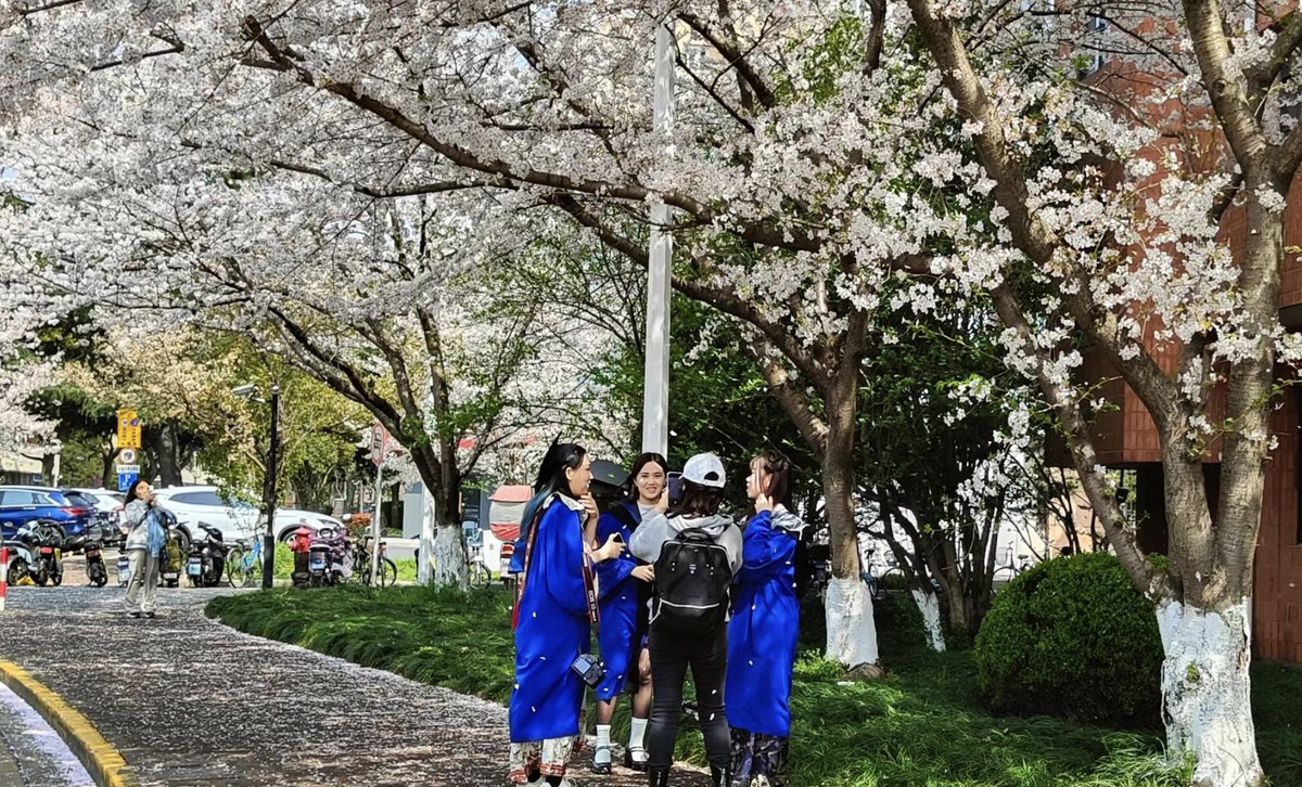 As spring brings renewal, so do SJTU's graduates bloom into their next phases. Celebrated at commencement, they step forward, achievements in hand, ready for new beginnings with the promise of spring in their hearts and a future of opportunities ahead. 🌸🎓 #SJTU #Graduation