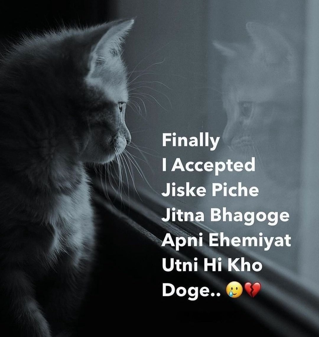 Sawera (@som_1115) on Twitter photo 