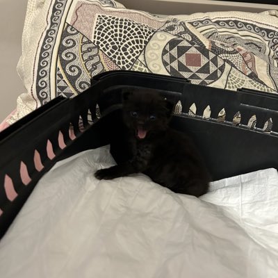 Selam ben geldim! #NewProfilePic