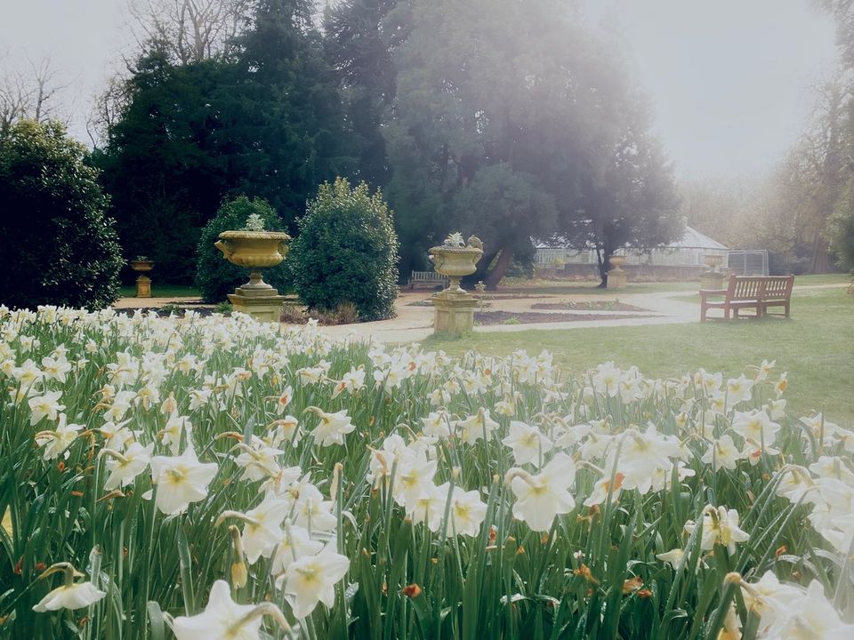 Take a walk with us today amongst these dreamy gorgeous #daffodils at Lauriston Castle! #spring #Edinburgh #ForeverEdinburgh #Castle

Our gardens are now open until 7.30pm.