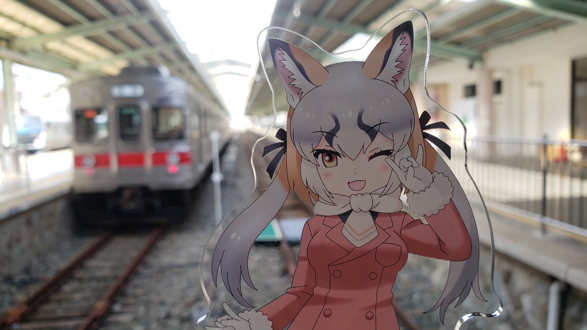 シマハイイロギツネ(けものフレンズ) 「シマハイと8000系 」|🏝もかちーの🦊のイラスト