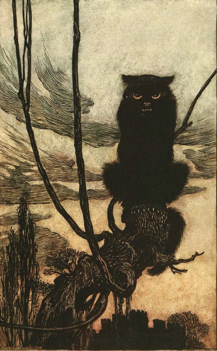 King of the Cats on #Caturday An old man walking home one evening, meets a cat, who says: 'Tell Tom Tildrum, Tim Toldrum is dead' Returning home, he repeats this to his wife, whereupon their own cat Tom exclaims: 'Then I'm the King of the Cats' #illustration : Arthur Rackham