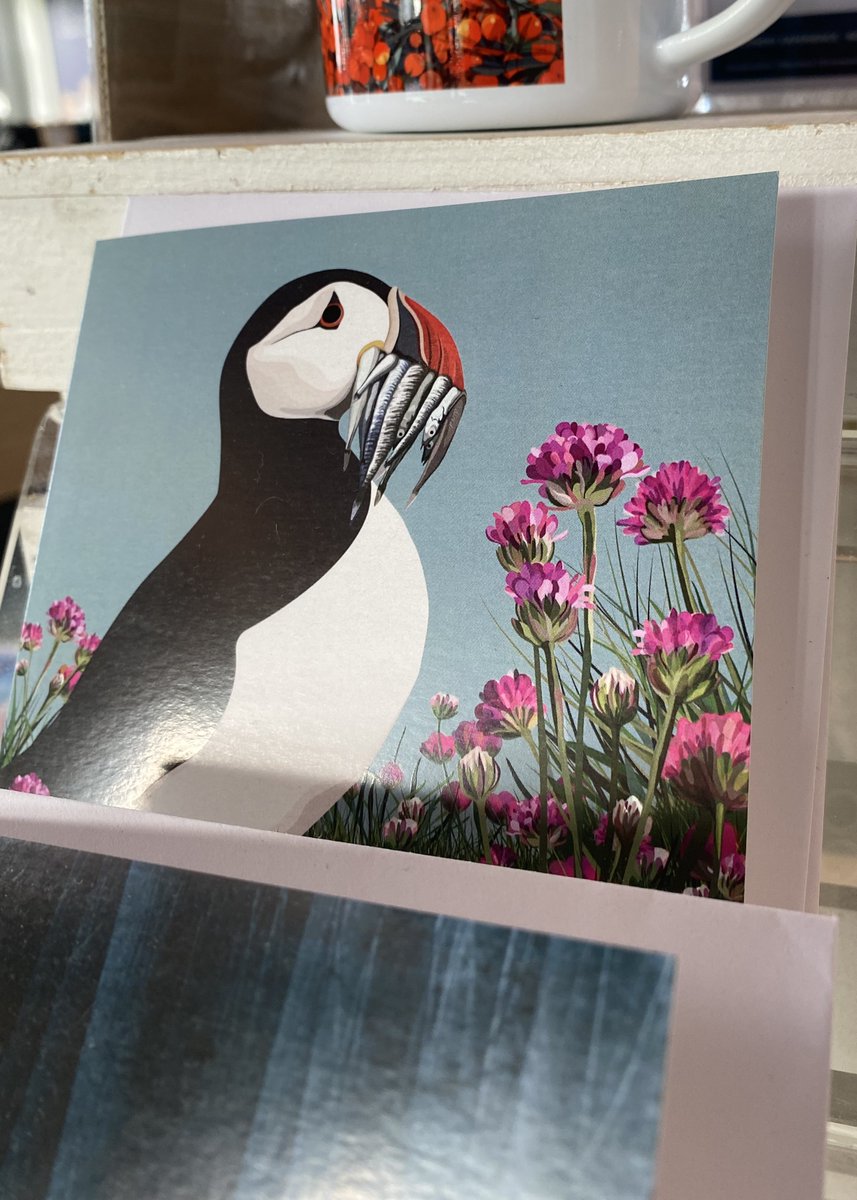 This month is all about puffins in our gift shop as we celebrate their return to our shores and islands. We're very lucky to have a beautiful range of puffin prints and cards from some very talented artists. Check them out: seabirdshop.org/collections/al… #sustainablegifts #charity