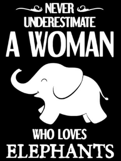 ❤❤❤❤ I ❤❤❤❤ ❤❤❤ L❤VE ❤❤❤ ❤ ❤ Elephants ❤ ❤