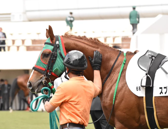 今日も競馬を観に来て良かった、と思いました 