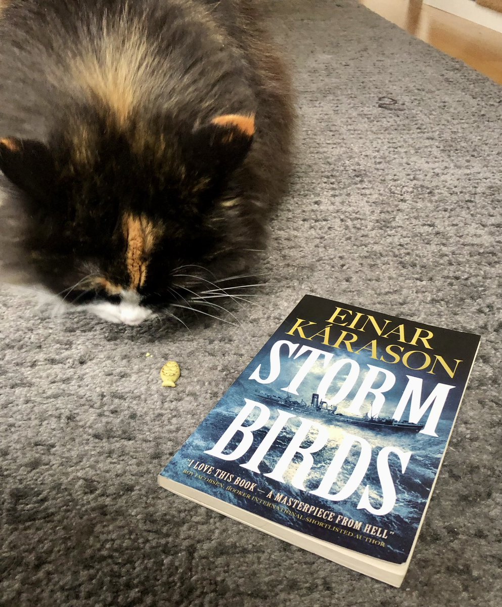 Gabby 🐈 appreciates good quality products / content and enjoys a fish 🐟 or two 🐠. She approves of #StormBirds by #EinarKárason in @graskeggur’s because, apart of cold water, strong winds and freezing conditions, & birds of course, there are also fish #Caturday @maclehosepress