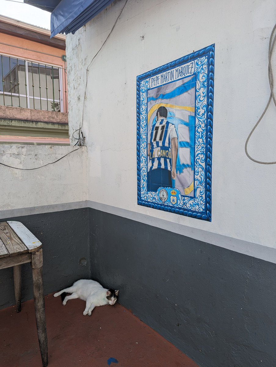somoslacanoa's tweet photo. 📍El azulejo se encuentra pintado en una pared del Barrio de Boedo, Buenos Aires, Argentina🇦🇷, dentro del local del grupo @artisticoboedo 🎨

👉🏻Todos los Canoístas recibirán una pequeña réplica del diseño con sus packs de este año💙🤍 https://t.co/APj2eqGhse