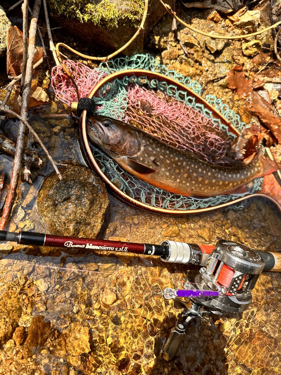 junkie_1993's tweet photo. 今日も痺れたー！
尺イワナ🤤👍
＃Fishman ＃渓流ベイトフィネス　＃イワナ https://t.co/EDqTZSC5xM