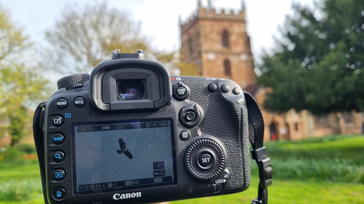 THE BIRDING GODS DELIVERED! OSPREY slowly north over @BirdersStore at 9:13 flushing every Gull within a half mile radius. Thanks so much for the shout @BirderJB , it took 45 minutes to cover the 5 miles between Clifton and here. #WorcsBirds