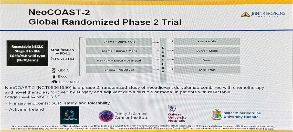 Kicking Saturday morning off at #AILCC24 @FordePatrick gives a masterful overview of peri-operative #immunotherapy in NSCLC ➡️ pCR highly predictive of outcome ➡️ liver might be a sanctuary site for relapse ➡️ clear need to optimise treatment duration @IASLC