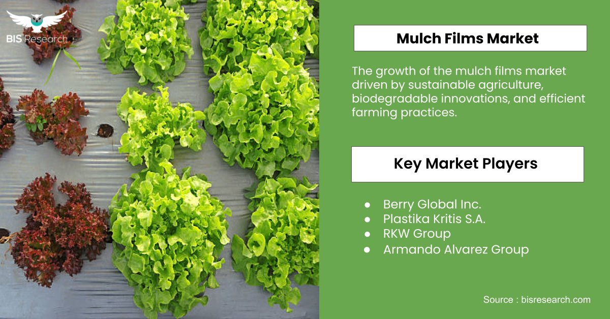 With the agricultural sector aiming to improve the efficiency of resource use and tackle the issues brought about by climate change, there is an increasing demand for mulch films. Access Insights: hubs.ly/Q02rDSRF0 #MarketTrends #Report #deeptech