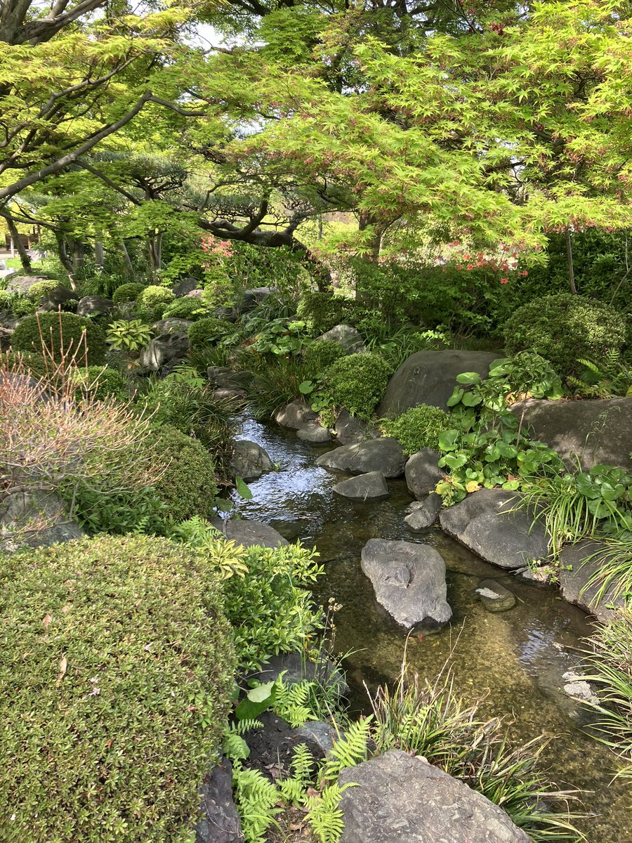大仙公園の日本庭園行ってきました。癒された…