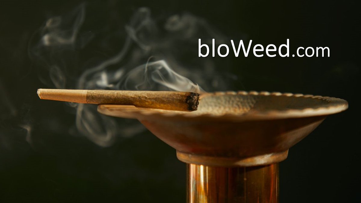 Weed to Blow.

bloWeed.com

Buy now here: shorturl.at/atuL4

#NFT #NFTs #domainnames #domainname  #domainforsale #WeedLovers #Web3 #CannabisCommunity #CannabisNews #cannabisculture #weedgirl #weedlife #digitalasset #cannabisindustry #DigitalAssets #Weedmob