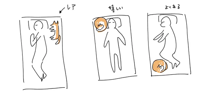 犬の寝る位置 