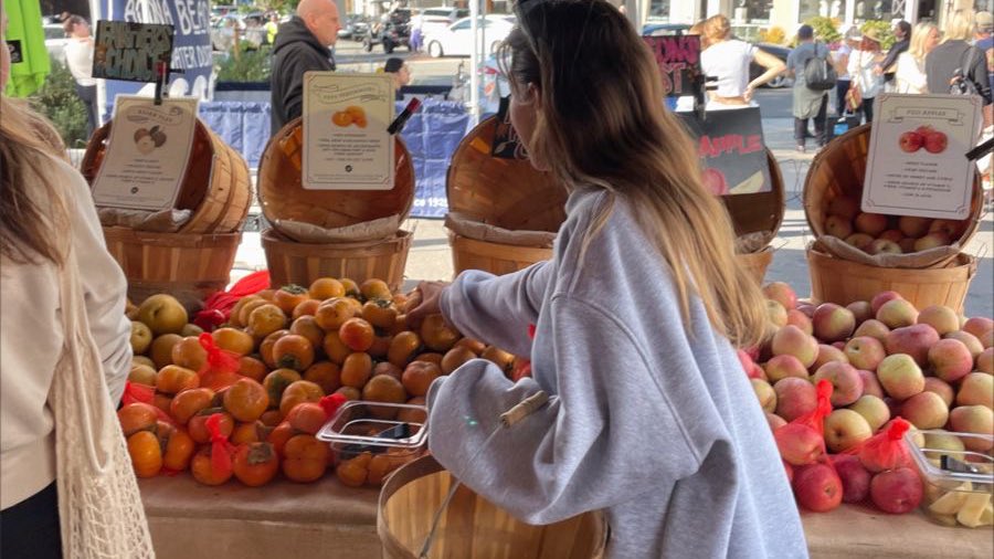 at the farmers market 👒