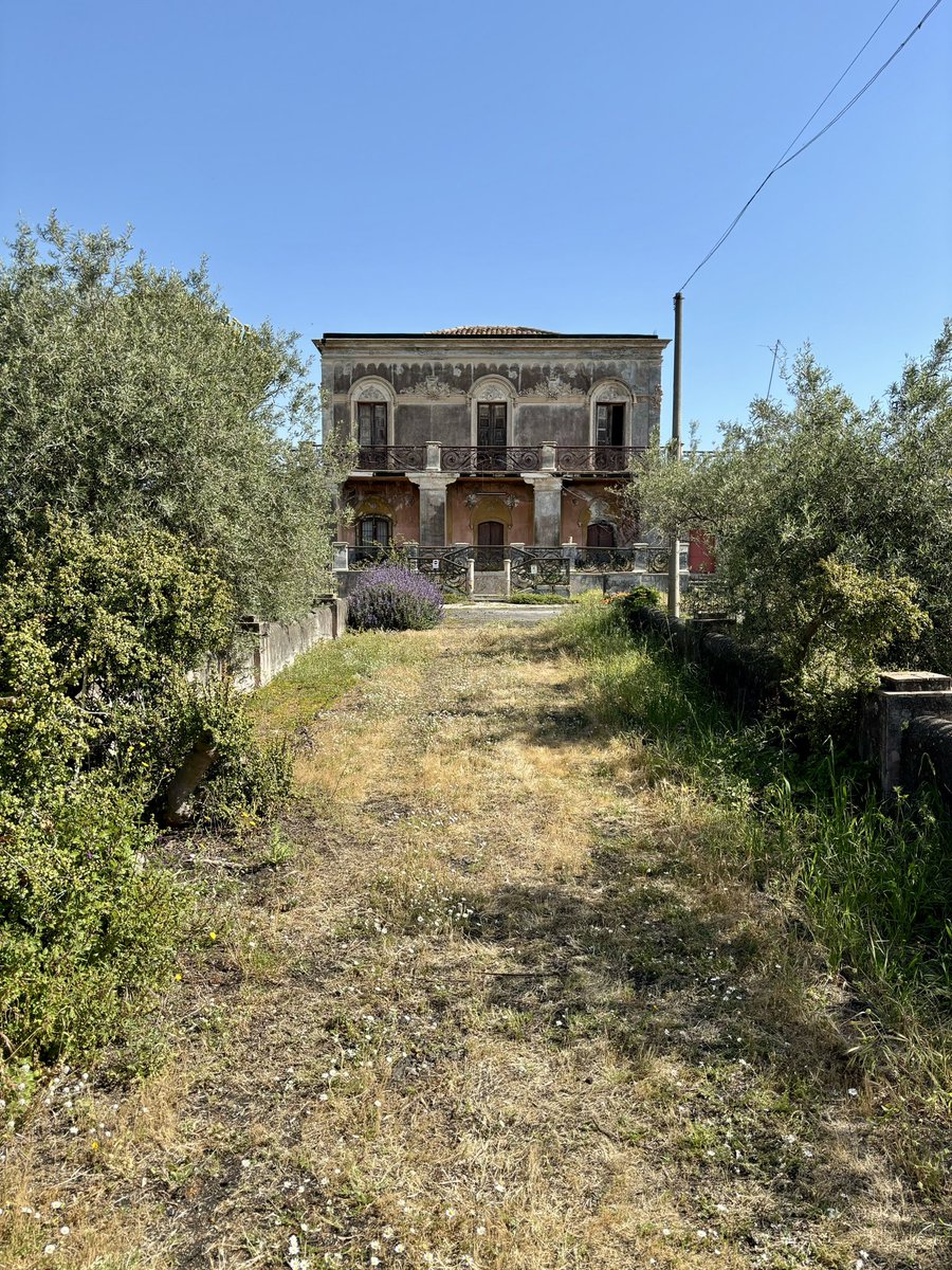 Gerçek Godfather gurmeleri için 🎬

"My father's name was Antonio Andolini... and this is for you... Don Ciccio!
