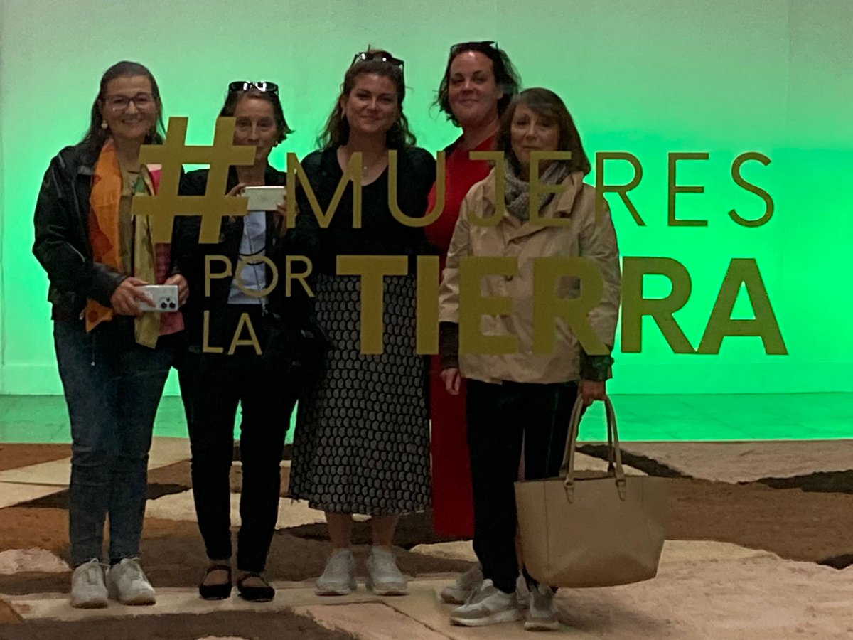 Clásicas y Modernas tweet media