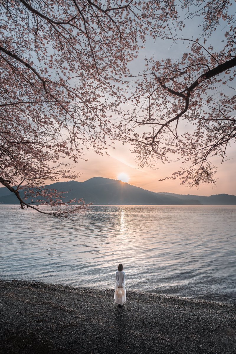 海津大崎で迎える春の朝。