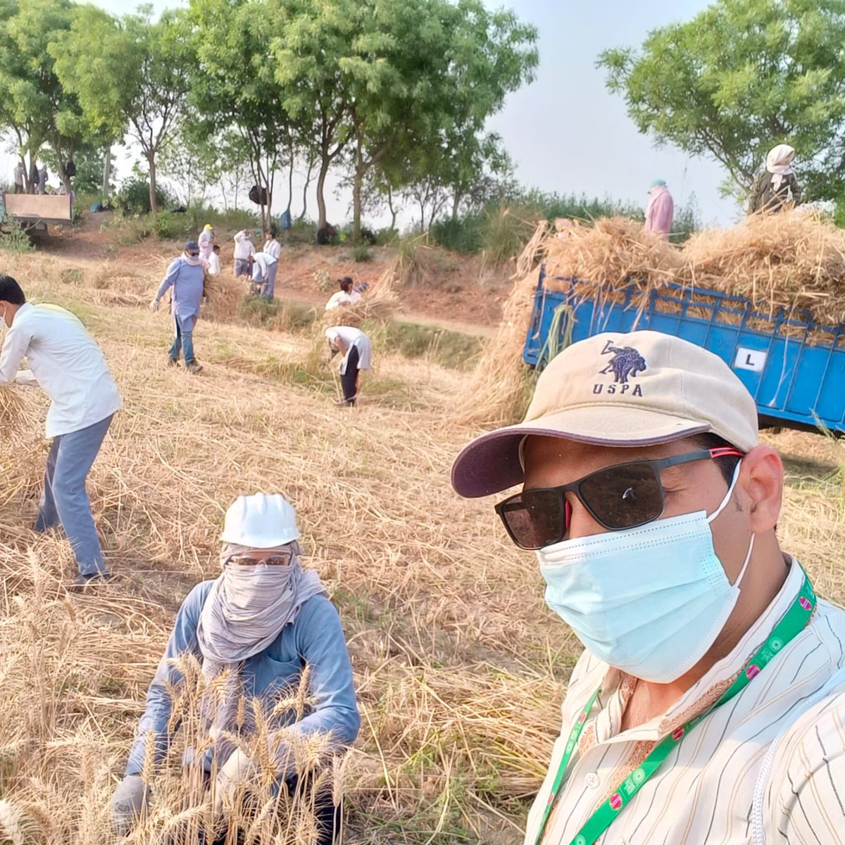 At Ra Dha Sva Aa Mi Faith's headquarters, nestled in the historic enclave of #Dayalbagh, #Agra 282005, the wheat harvest transcends mere agriculture. It's a sacred communion, steeped in centuries of tradition and reverence for the land's bounty. Here, amidst the golden fields,…