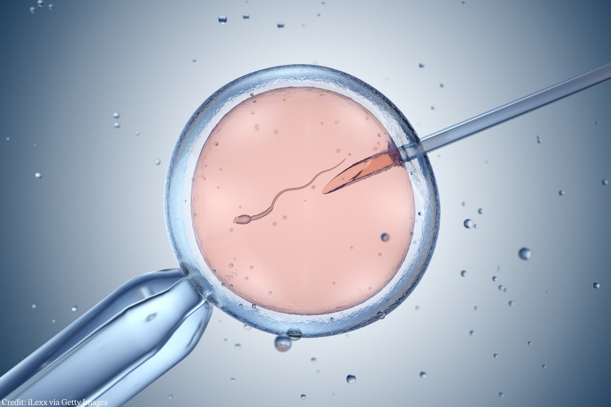 At least 12 million babies have been born thanks to IVF, but how did we reach this miraculous milestone? 

In the 1950s #NobelPrize laureate Robert Edwards realised that fertilisation outside the body could be used to treat infertility. 

Read more: bit.ly/3PAodg4