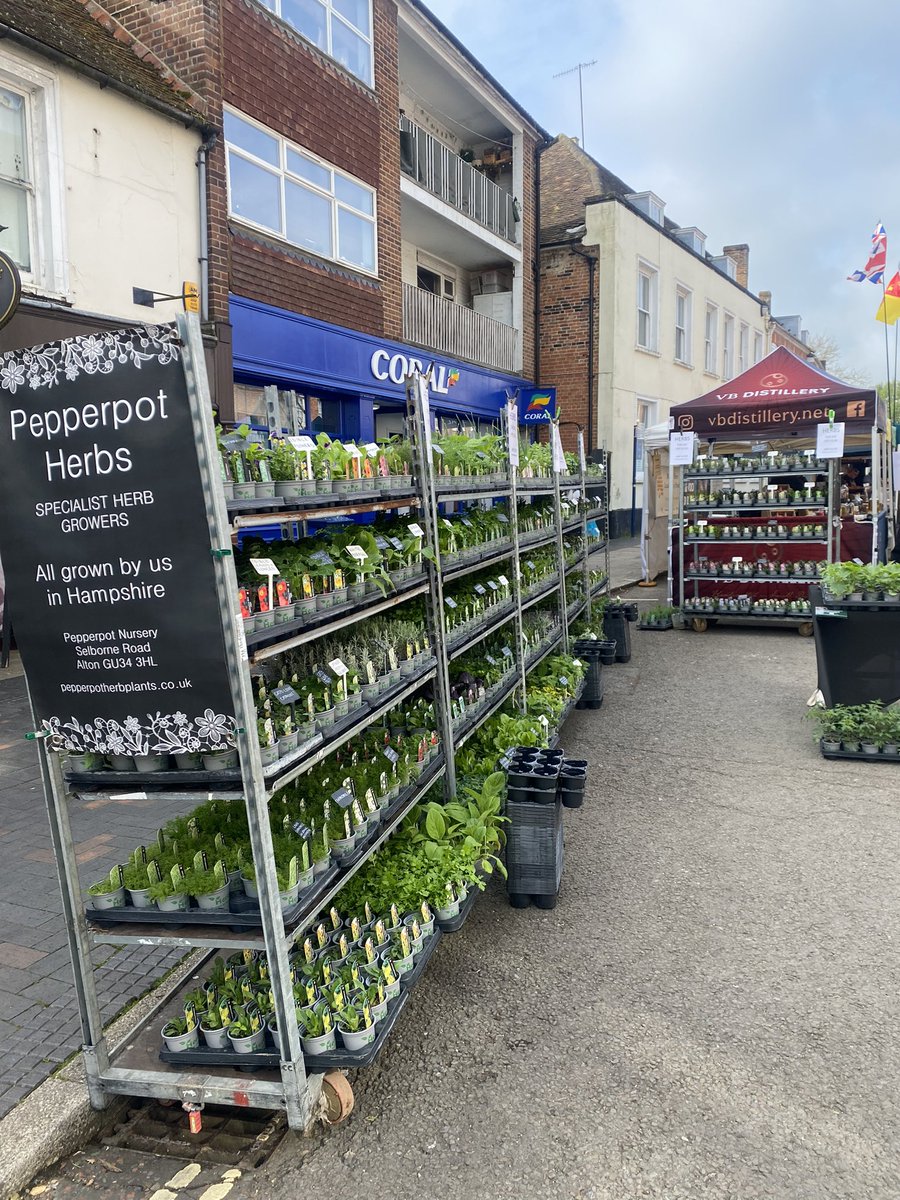 All set up in sunny Alton where the herbs are grown just a mile down the road - you won’t get more local than that! #gardening #gardeningX #GardeningTwitter #peatfree #herbs