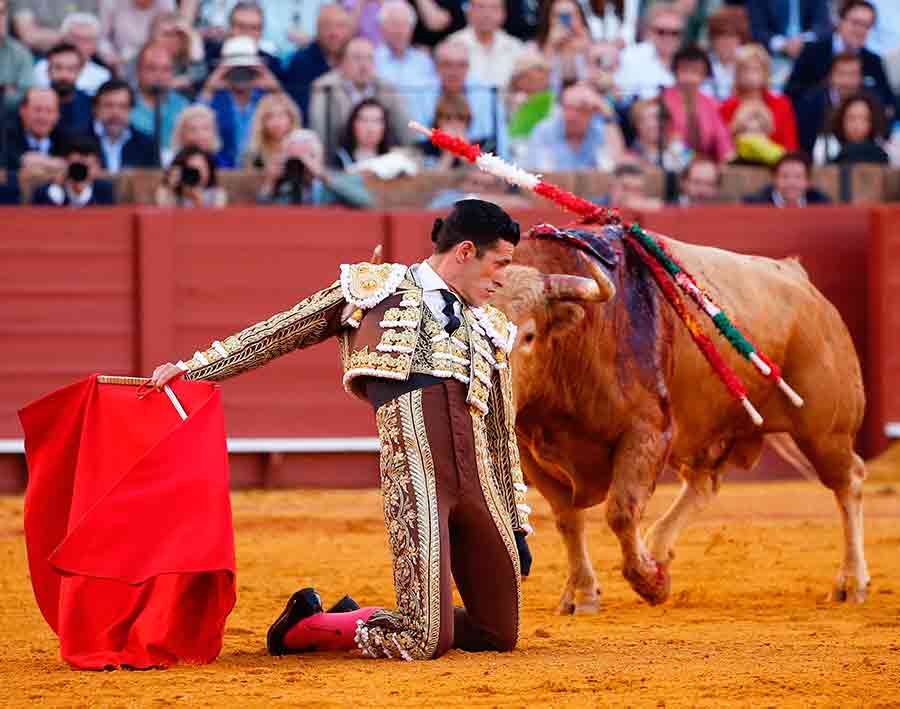 CRÓNICA (5ªFeria Abril).- Sevilla le abrió a Daniel Luque la Puerta del Príncipe / Por @ManoloVieraN (sevillataurina.com/2024/04/12/sev…) @sevillataurina @Toromedia12 @utaa_sevilla @isanchezmejias @luisdepauloba @ftorodelidia @JuntaSevilla @ftorodelidia @OneToroTV @AndaluciaJunta