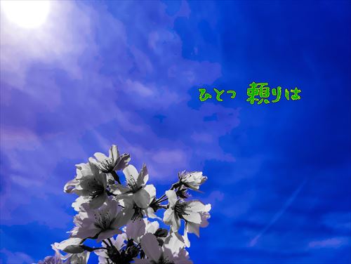 silverzaji's tweet photo. 髪を撫でてくれました
頭をコリコリ
よしよしと

それを頼りに
生きていた

口を塞いできたのです
言葉を胃の奥
裏側に

ずっとずっと
ぐちょん沼
足は冷たく
けど
そこでしか

さて
足抜けは
錆びてて重いこの体
足ちぎらねばなりません

この春は
髪撫でくれた手
それだけを
頼りにして
いこうかと https://t.co/IeFUWEPusZ