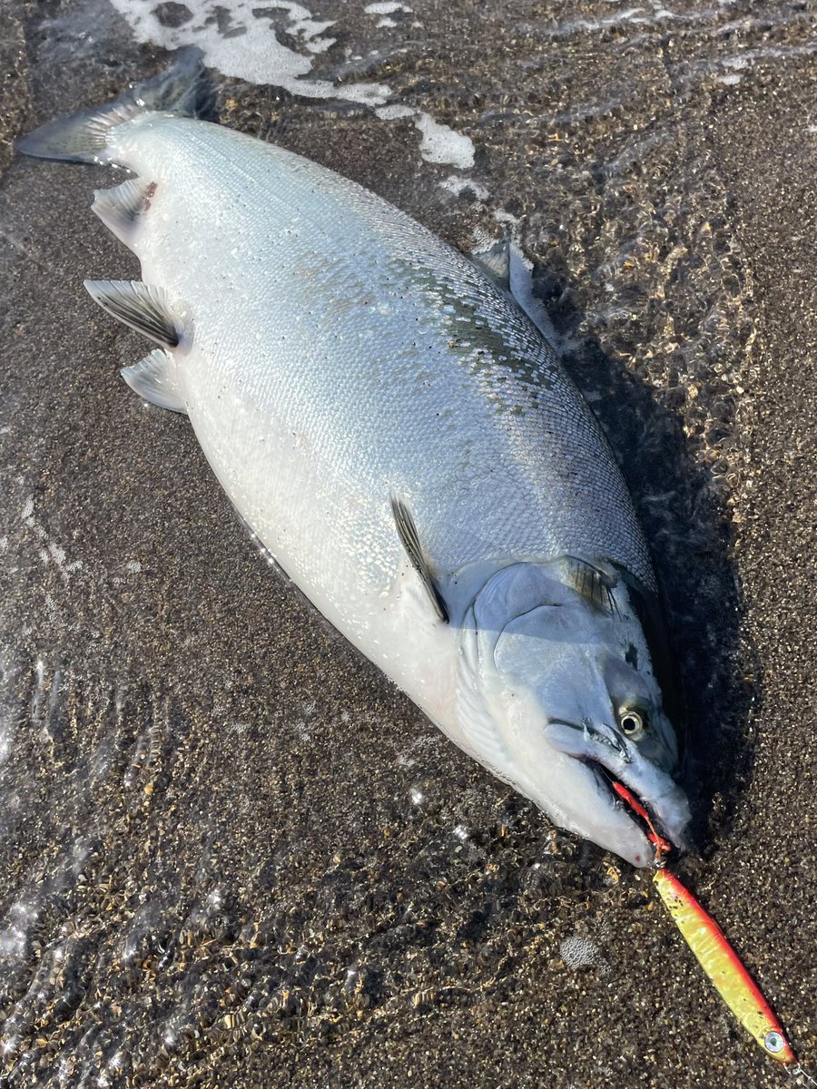 くりくり (@kurikuri8897) / Posts / X