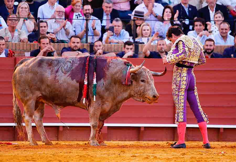 OPINIÓN (5ª Feria Abril).- Al Natural: 'El desmadre' / Por Francisco Mateos (sevillataurina.com/2024/04/12/sev…) @sevillataurina @Toromedia12 @utaa_sevilla @isanchezmejias @luisdepauloba @ftorodelidia @JuntaSevilla @ftorodelidia @OneToroTV @AndaluciaJunta