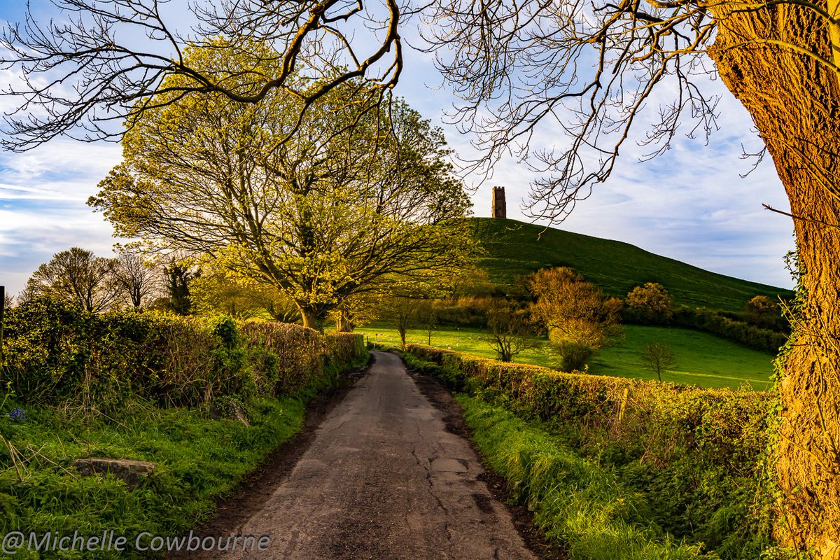 The sun came out in the end this morning here in Glastonbury. The trees are starting to come alive and it feels very Spring like today.