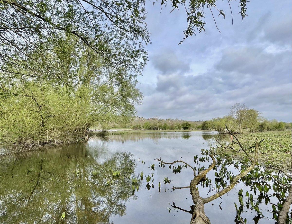 Northwick, Worcester this morning. 1 singing Little Grebe. 2 Common Whitethroat. 1 Willow Warbler. 6 Chiffchaff. 5 Blackcap. 2 Swallow. 4 Lesser Redpoll. 10+ Greenfinch. 6+ Reed Bunting. 2 Kingfisher. 1 Green Sandpiper. 3 Mandarin. Gadwall pair. Missed Osprey, ouch!!