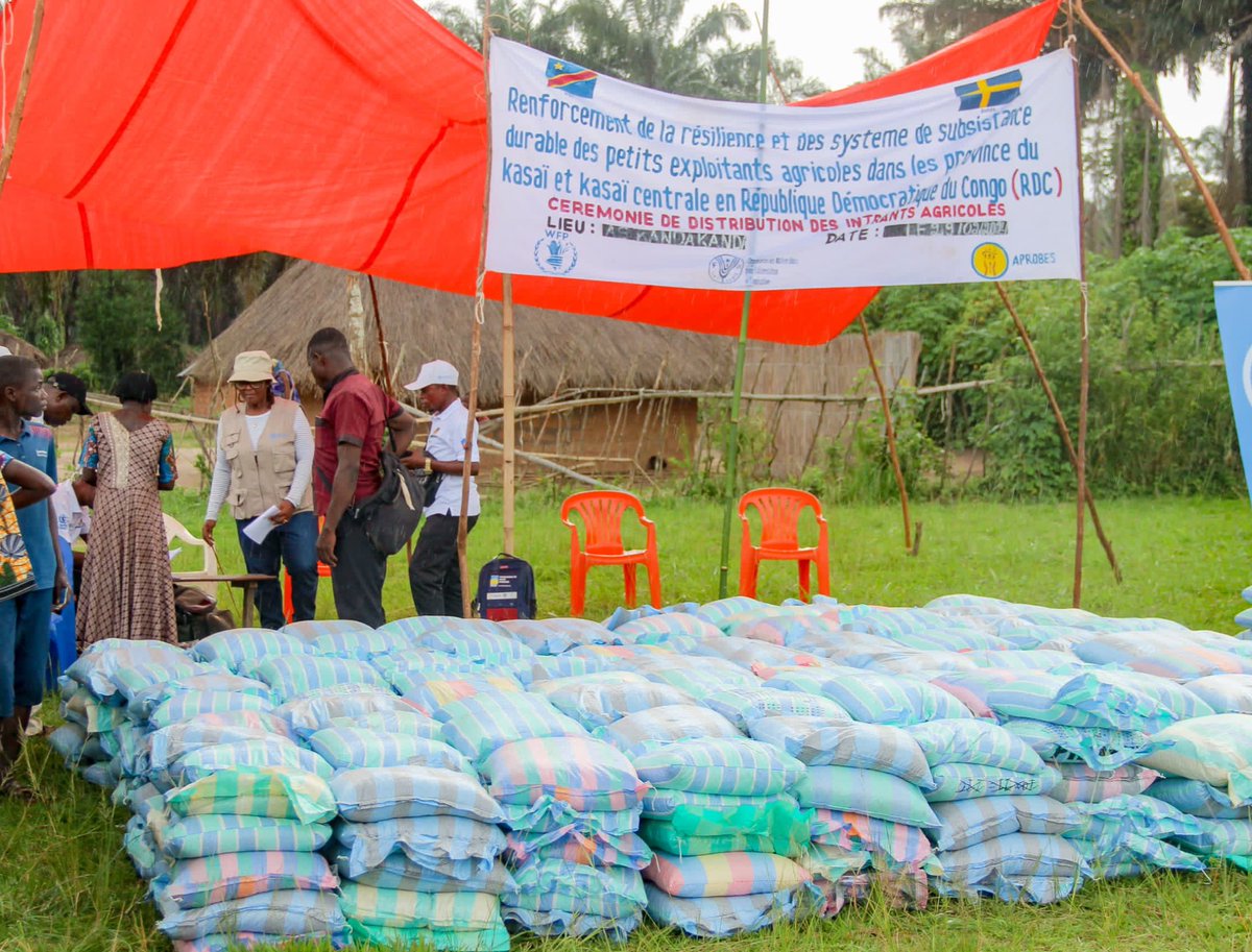 🌱Renforcement de la #résilience des petits exploitants agricoles du Kasaï central.Merci à la Suède 🇸🇪 d’avoir permis à la @FAO de fournir des semences à 4️⃣0️⃣0️⃣0️⃣ ménages pour la saison agricole. 📍Luiza et Kananga