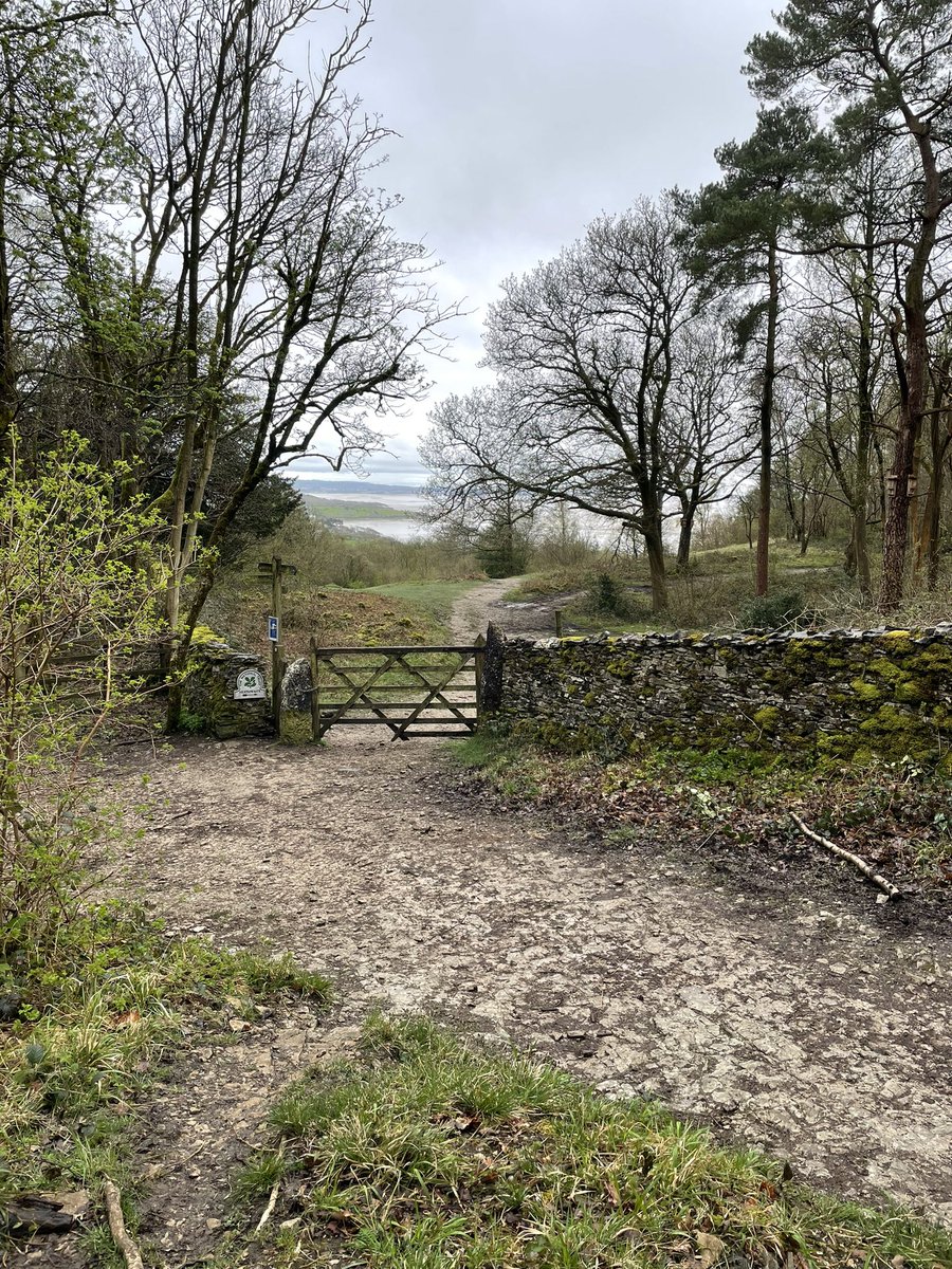 Swing your legs from it. Sip your flask on it. Watch the view in front of it. It’s back! Our wonderful volunteers Len and Kevin have installed a new bench at the Heathwaite crossroads on the Knott. Made by Len’s skilled hands from a fallen oak in Red Hills Wood. What a beauty.