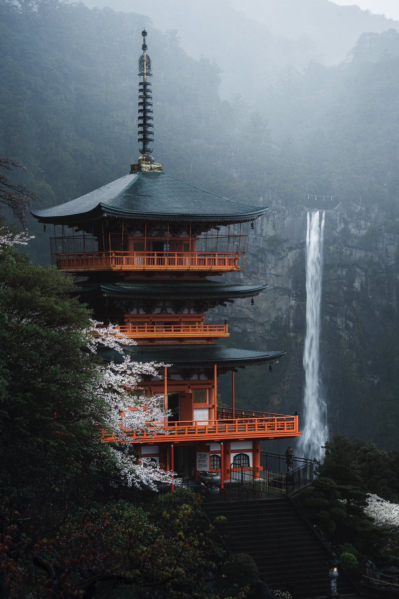 世界遺産 「那智の滝」の桜が美しい。