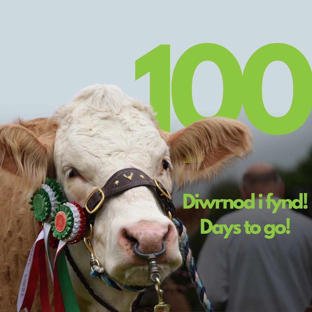 🎉 Mae'r sioe yn agosau! 🎉 The countdown begins! 🎉 Get ready for a celebration of Welsh culture, agriculture, and community. Paratowch ar gyfer dathliad o ddiwylliant, amaethyddiaeth a chymuned Cymru. #SioeFrenhinolCymru #100Diwrnod #RoyalWelshShow #100DaysToGo