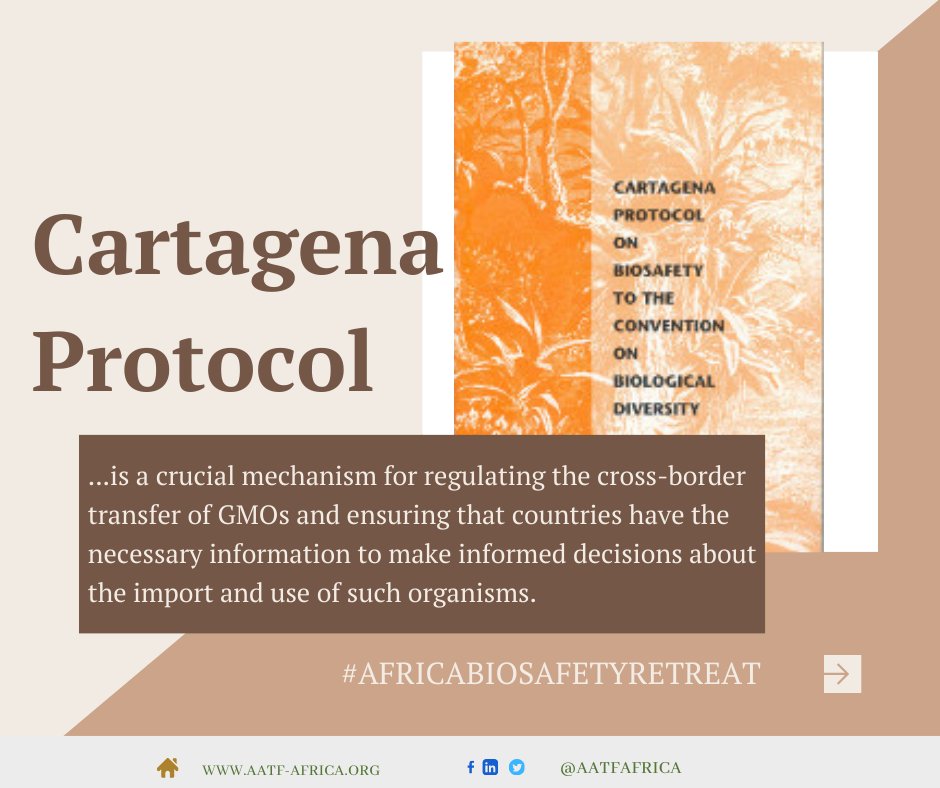 Why is Cartagena Protocol so important? #africabiosafetyretreat #africabiosafetyregulators #aatfafrica #OFABAfrica #Prosperitythroughtechnology #ScalingforImpact