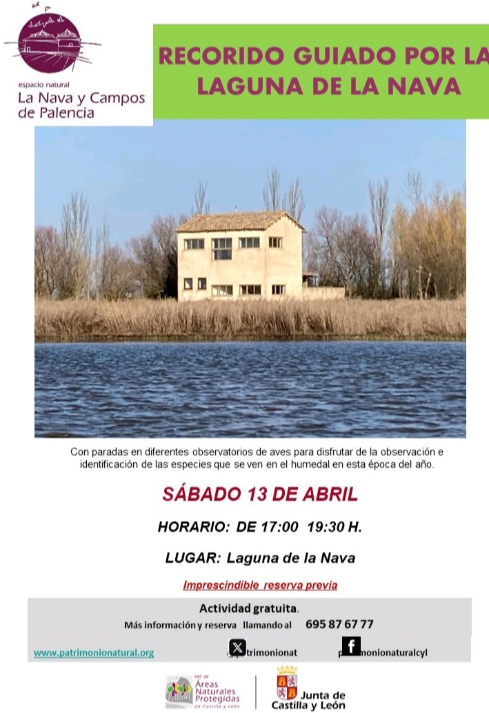 Os recordamos que esta tarde a las 17:00h. arranca un nuevo recorrido guiado por los observatorios de #aves de la #lagunadelanava y aún quedan plazas. ¿A que esperas para apuntarte? #Cyl #Palencia #turismo #naturaleza #educacion #biodiversidad