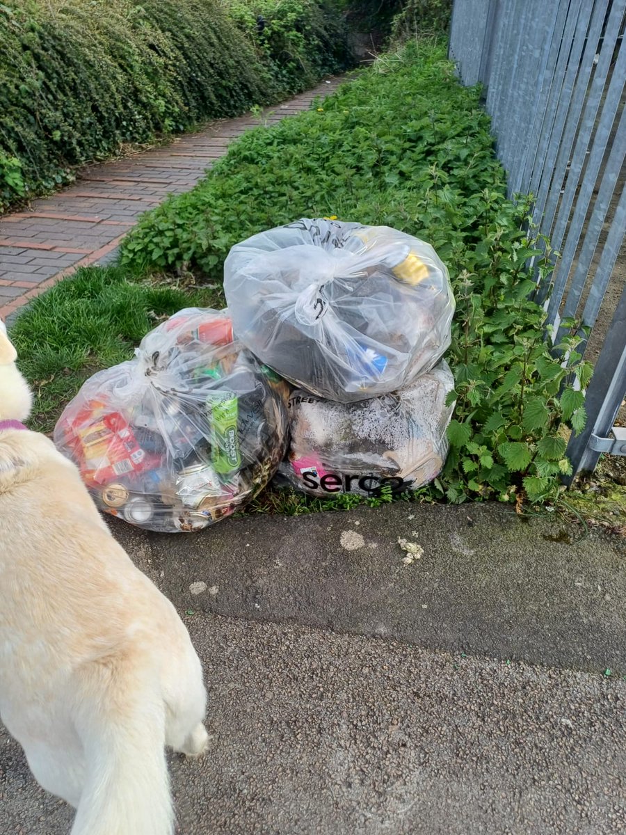 Team Oliwia is making a difference one bag at a time! On her 365-day litter picking mission to save Mother Earth, she has removed another 4 bags of litter. We are so grateful for the dedication of these amazing litter picking volunteers. #adoptastreet @SercoESUK @sandwellcouncil