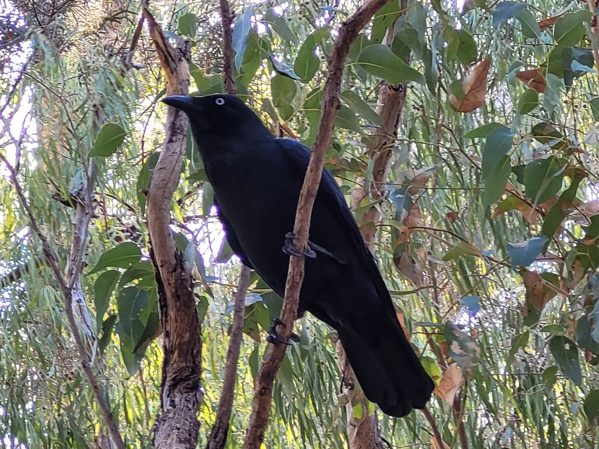 Andrew Hunter tweet media