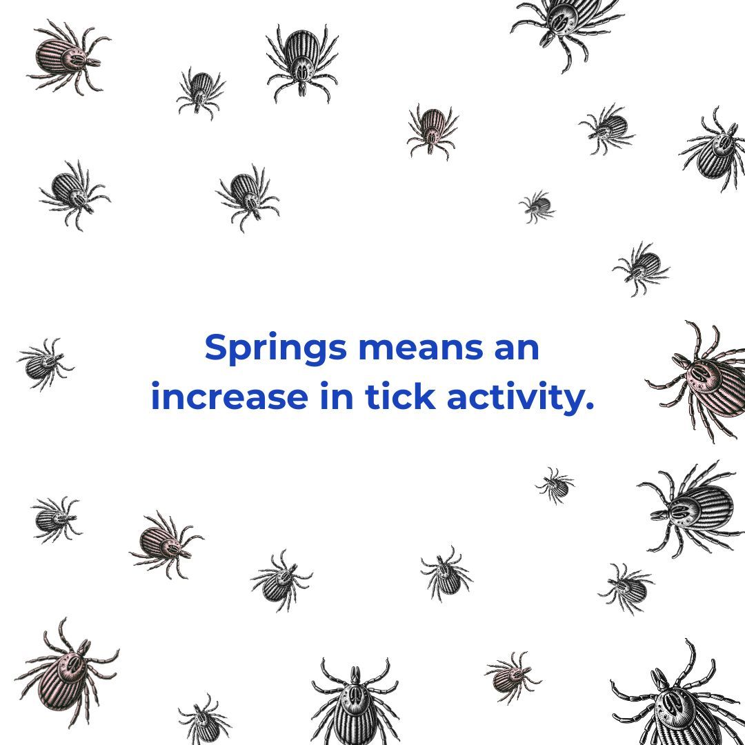 Since #ticks tend to be most active in the spring, it’s vital to stay vigilant & take precautions. Use repellents, do tick checks, & safeguard your yard. ➡️ CDC Tips on #TickSafeLandscaping (buff.ly/2FAYFeD) ➡️ #LivLyme’s #TickTracker℠ App (buff.ly/4cEm394)