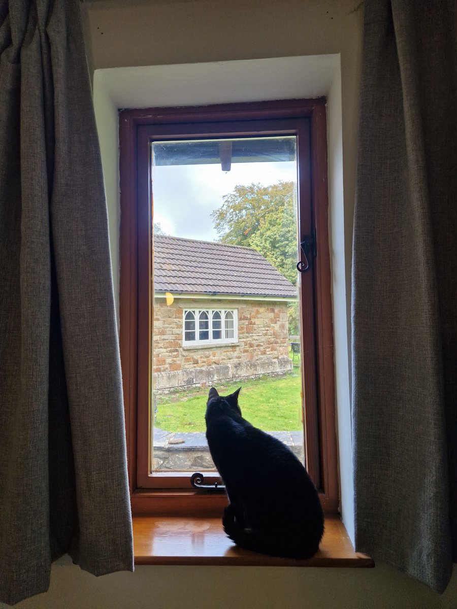 All our self-catering cottages are pet-friendly, so the whole family can join in and enjoy a getaway🐾

Here's Hallie enjoying the view from the living room window in Barn Owl Lodge one of our charming Woodland Cottages. 

#HolidayCottages #UKHolidays #PetFriendly