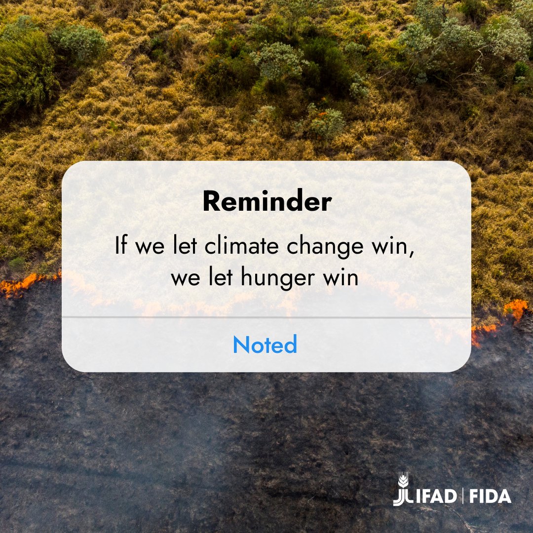 Small-scale farmers grow up to 70% of the food consumed in low- and middle-income countries. But #ClimateChange is wreaking havoc on their crops and global food systems. It's time to stand with these frontline heroes who are fighting to secure the future of our food ✊🌍