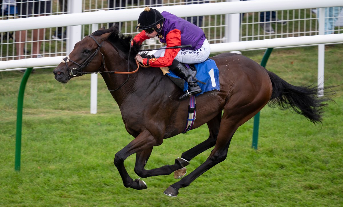 Circle Of Fire, bred by the late Queen Elizabeth II, becomes a Group 1 winner in the Sydney Cup at Royal Randwick 👉 bit.ly/3Q37lyF