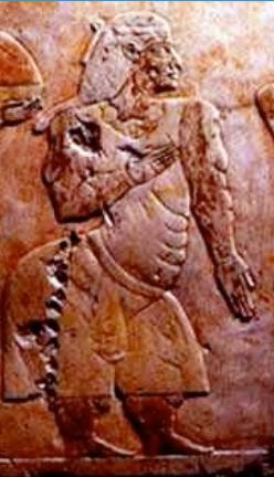 mzeesiraj's tweet photo. Queen Ati of #Punt, ancient #Egypt 1493BCE; home of the #Galla people,  ancestors #East #Africa's #Cushites. 
Ancient #Somaliland,birth place of the #Somali; their #Cushite cousins(#Agow,#Borana,#Danakil) and their cultures.

Video: #Danakil- #Afar.

@The_BIEA, @museumsofkenya. https://t.co/9C6TUBh3Lg