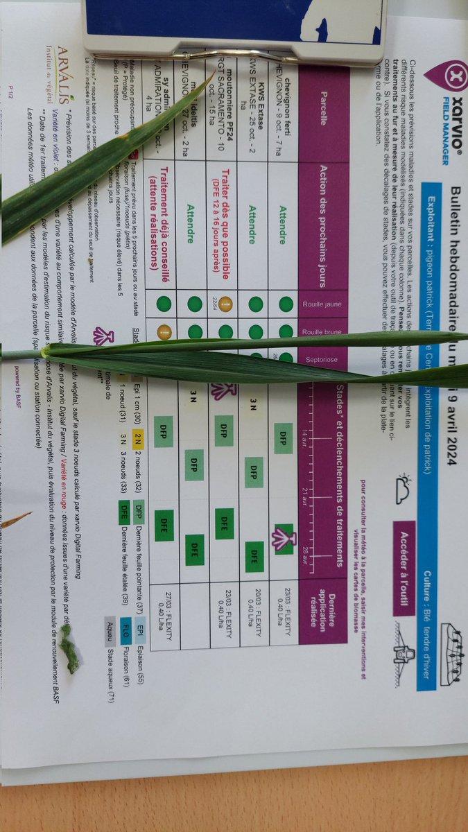 Patrick Pigeon 🚩🌱🌾🌻🐝🚩 tweet media