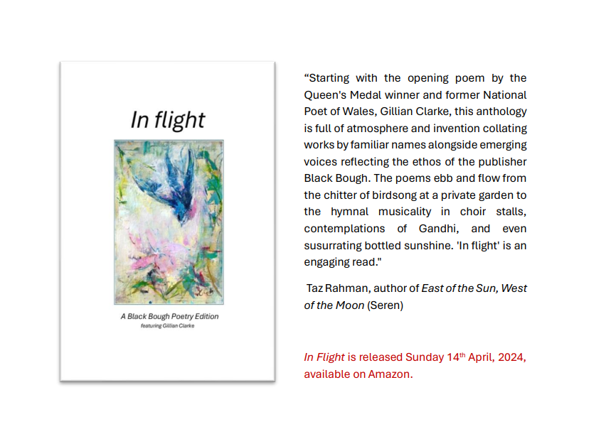 'full of atmosphere and invention' There's plenty of buzz about our new edition, 'In flight', which features work by Welsh poet Gillian Clarke and a whole host of brilliant poets. Here's what @SerenBooks writer Taz Rahman @amonochromdream has to say about this bijou edition.