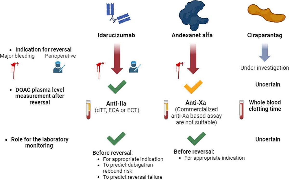 Réversion AOD : case départ !  medvasc.info/archives-blog/… <a href="/GendronNico/">Nicolas Gendron</a> <a href="/BilloirP/">Billoir Paul</a> <a href="/SFTHemostase/">SFTH</a> <a href="/ThrombosisRese1/">Thrombosis Research</a> <a href="/morange_pierre/">pierre morange</a> <a href="/isabellemahe1/">Mahé Isabelle</a> <a href="/SilvyLaporte/">Silvy Laporte</a> <a href="/AntaklyY/">antakly yara</a> <a href="/AboyansV/">Victor Aboyans</a> <a href="/gilles2206/">Pernod</a> <a href="/LaurentBertole1/">Laurent Bertoletti</a> <a href="/FCouturaud/">Francis Couturaud</a> <a href="/lina_2411/">Lina KHIDER</a> <a href="/DavidMSmadja/">David Smadja 🎗️🧡</a> @MarcSamama <a href="/ThrombosisCan/">Thrombosis Canada</a> <a href="/MarcCarrier1/">Marc Carrier</a>