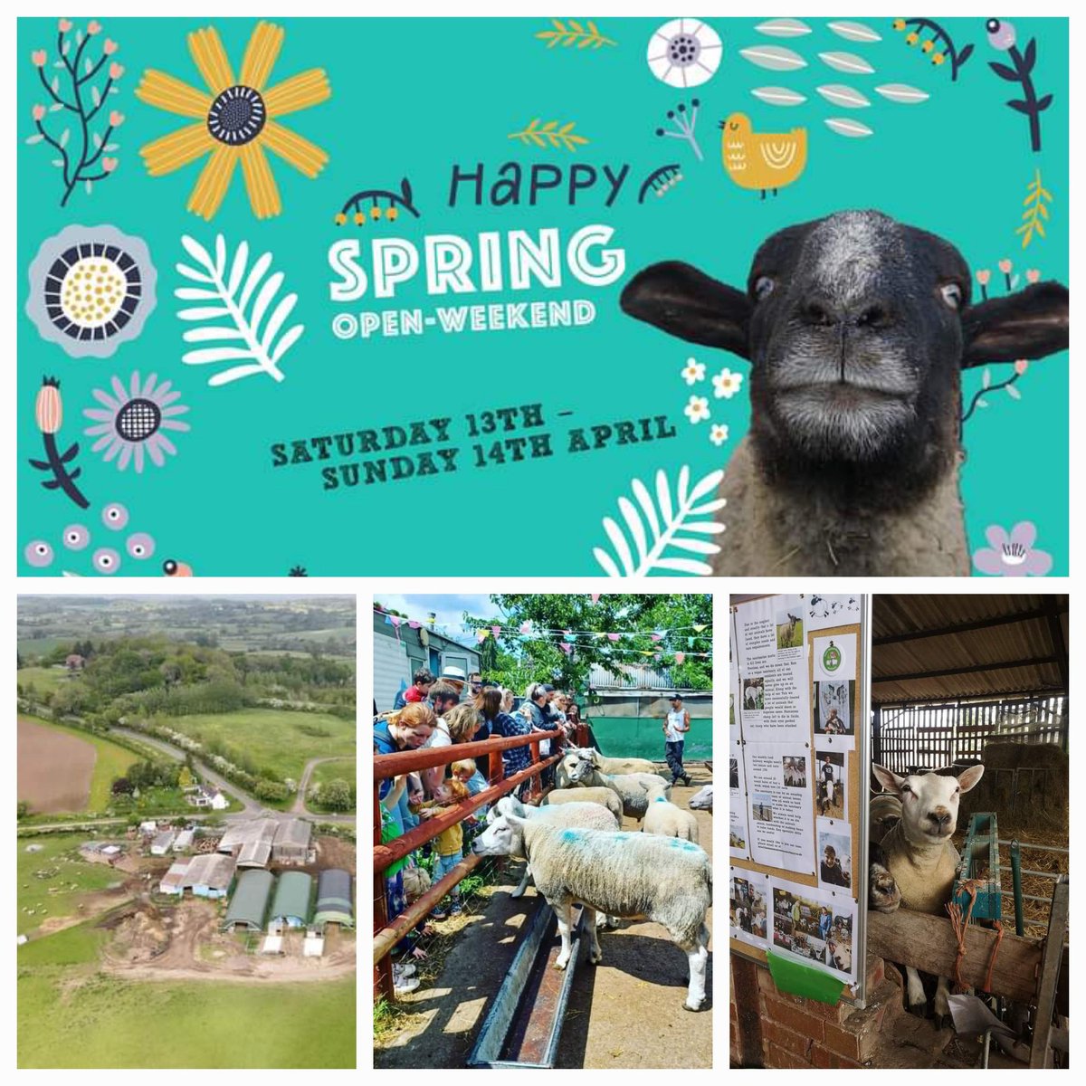 Today & tomorrow (11am–3pm) 🎉☺🐑🐖🐔🐈🌷🌱! Hope to see you soon 🤗 Tickets on the gate as well as from our website 🙏 🎟 farmanimalrescuesanctuary.co.uk/product/easter…